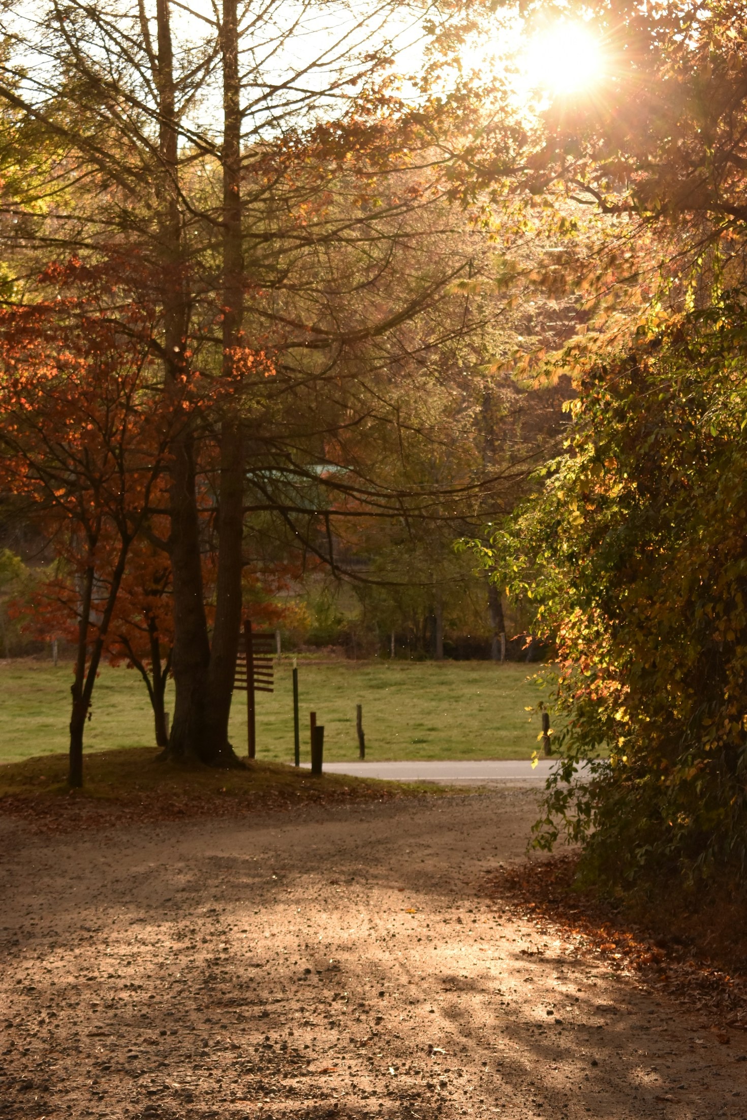Homeowner Tips for Settling in Western NC